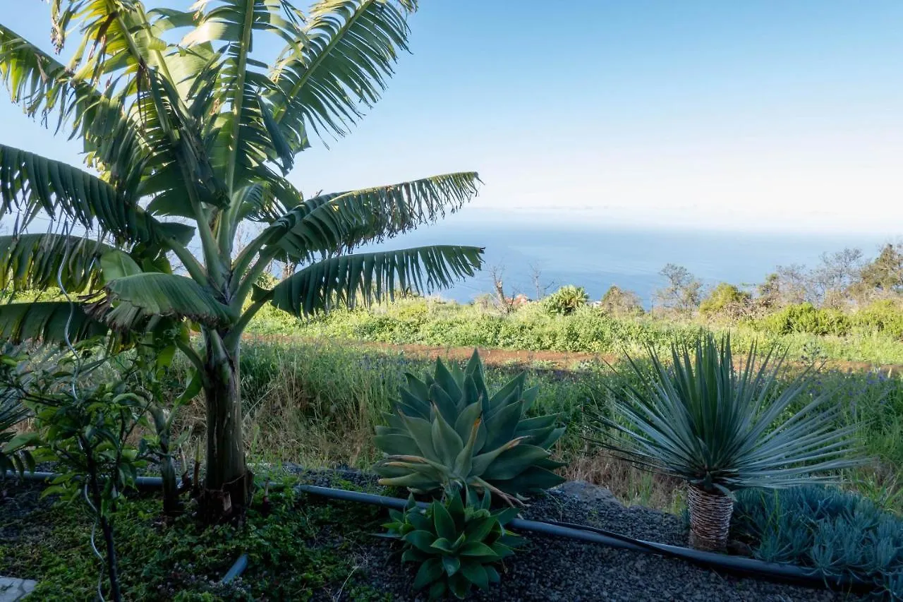 Hrlos Piratas - Ferien Haus La Palma - Good Wlan !! Tijarafe
